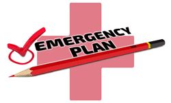 4 Franchise Emergencies You Will Handle on Your Own