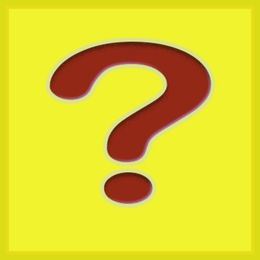 4 Questions Franchisees Forget to Ask