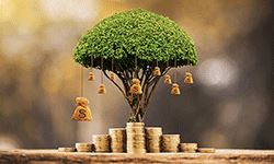 5 Steps for Building Your Net Worth