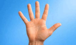 5 Things Canadians Should Know Before Franchising