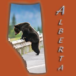 Albertans Exploring Franchises in the Economic Downturn