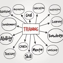 Canadian Franchisee Training: What You Need to Know