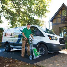 The Chem-Dry Franchisee Revolution