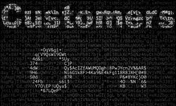 Decoding Your Customers: Franchisee 101