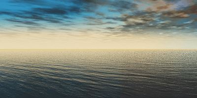 Exciting New Opportunities on the Horizon