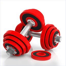 The Canadian Fitness and Sports Franchise Fast Facts