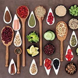 Food Franchise Fundamentals
