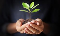 How to nurture the leads you generate