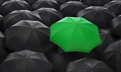 Independent Versus Franchise Business: 3 Key Differences