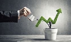 Is Your System Stellar at Growth?