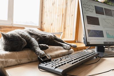 Keeping a Clear Head in a Home-Based Franchise