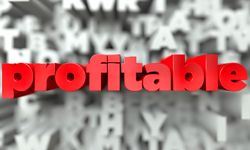 Making Your Franchise Profitable