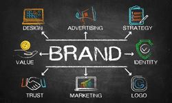 Take a Deep Dive Into Your Potential Franchise Brand