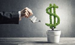 What Characteristics Do Profitable Canadian Franchises Have?